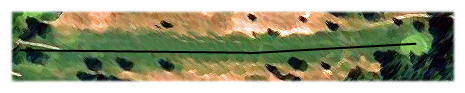 Diagram of hole 11