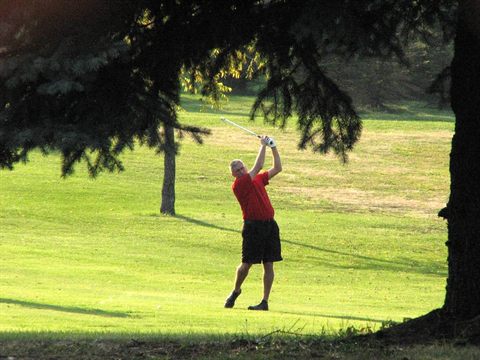Concord Cup photo